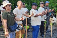 Penanaman mangrove ini merupakan bagian dari program Corporate Social Responsibility (CSR) Bank Papua Kota Jayapura yang diluncurkan pada 30 September lalu. Selain mangrove, program CSR Bank Papua juga meliputi pencegahan stunting, pengolahan sampah di Hamadi, serta pelatihan dan legalisasi UMKM.