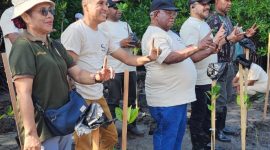 Penanaman mangrove ini merupakan bagian dari program Corporate Social Responsibility (CSR) Bank Papua Kota Jayapura yang diluncurkan pada 30 September lalu. Selain mangrove, program CSR Bank Papua juga meliputi pencegahan stunting, pengolahan sampah di Hamadi, serta pelatihan dan legalisasi UMKM.